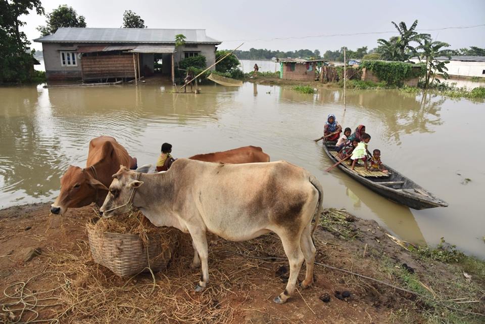 Qurbani and the debate on flood relief